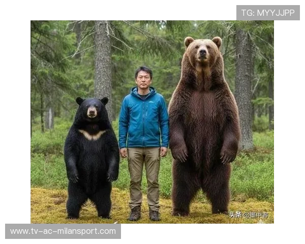 黑熊进城伤人，俄紧急出动围捕，黑熊进攻俄罗斯