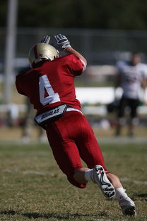 AC Milan官方APP下载-中超球队传球链路密集度评分系统